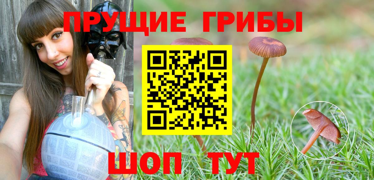 Галлюциногенные грибы мухоморы  Галлюциногенные грибы прущие грибы  Балашиха  Вход с VPN 